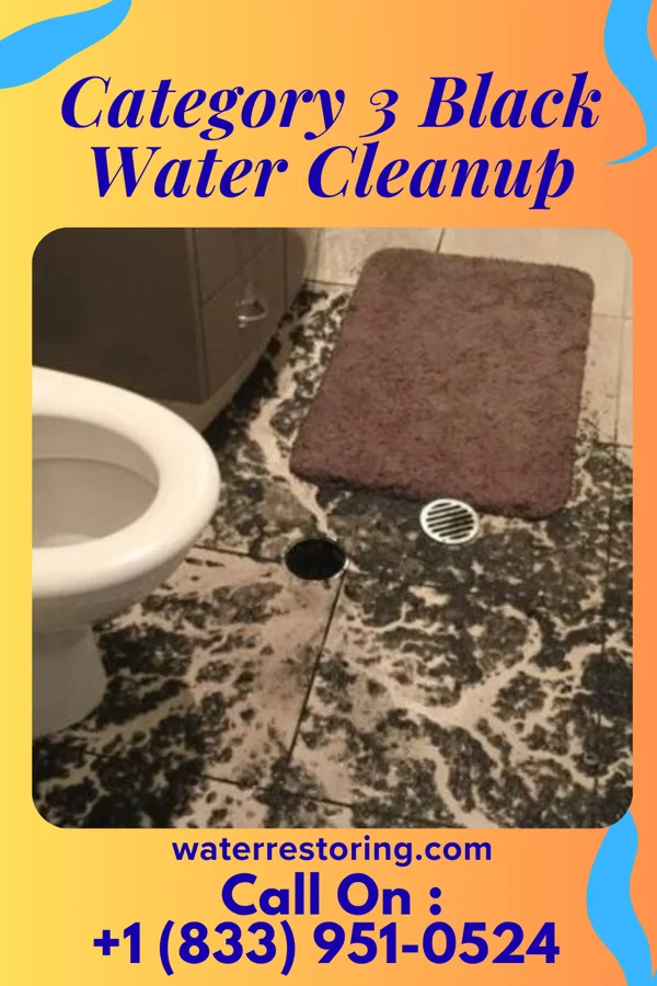 Category 3 Black Water Cleanup in Booneville, KY