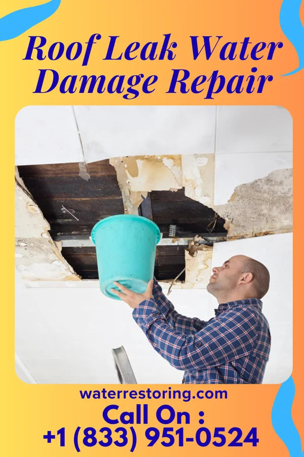 Roof Leak Water Damage Repair in Booneville, KY